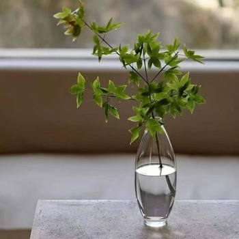 Sticlă din sticlă pentru infuzare la rece a ceaiului verde cu flori, infuzor de ceai transparent, sticlă de apă creativă în stil vază, rezistentă la căldură, sticlă de vin goală, îngroșată