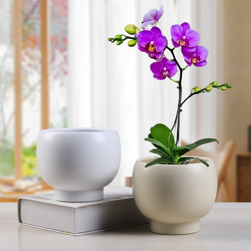 Ghiveci ceramic în stil Nordic minimalist, pentru decorul casei, pe podea