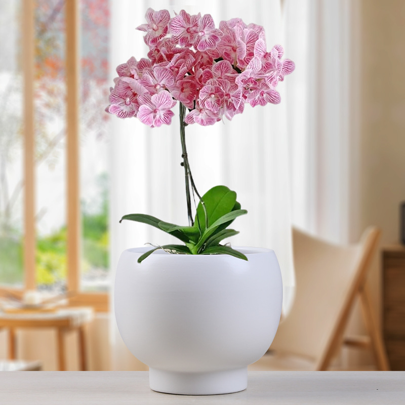 Ghiveci ceramic în stil Nordic minimalist, pentru decorul casei, pe podea