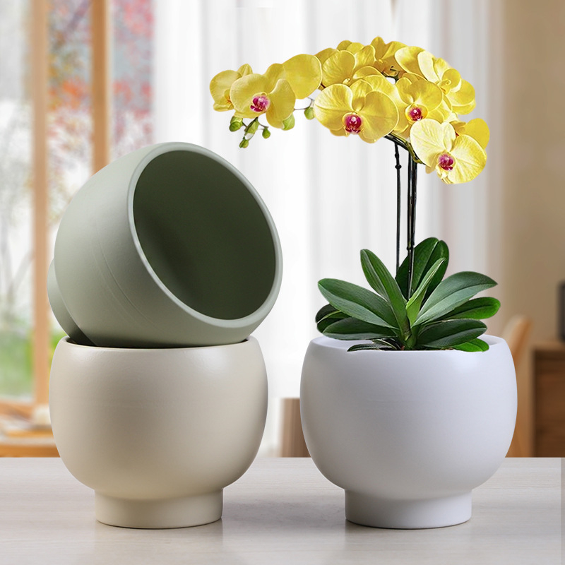 Ghiveci ceramic în stil Nordic minimalist, pentru decorul casei, pe podea