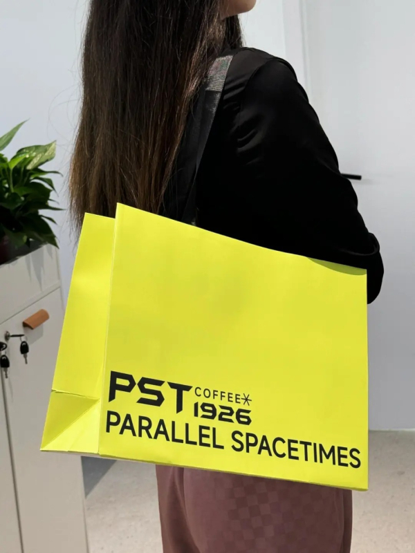 Geantă de hârtie personalizată în stil INS, albă, din carton cu mâneri, pungă de ambalaj pentru cadouri