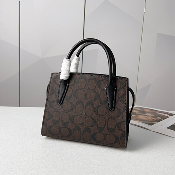 2025 Novi model torbe Andrea Diana - europsko-američki retro satchel, visokokvalitetna koža, mala crossbody torba