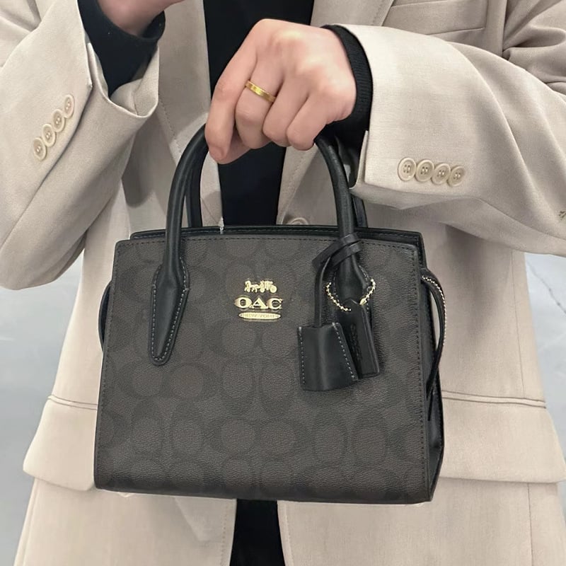 2025 Novi model torbe Andrea Diana - europsko-američki retro satchel, visokokvalitetna koža, mala crossbody torba
