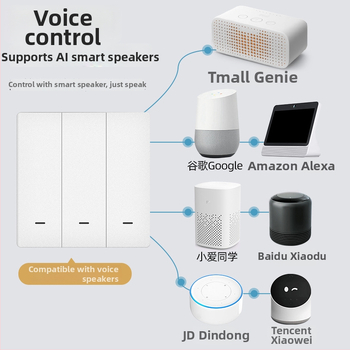 Zhengshang B1 Tuya inteligentný spínač, WiFi bezdrôtový hlasový panel, európsky štandard