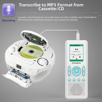 Panda opakovač angličtiny s MP3 prehrávačom a záznamníkom, model F391