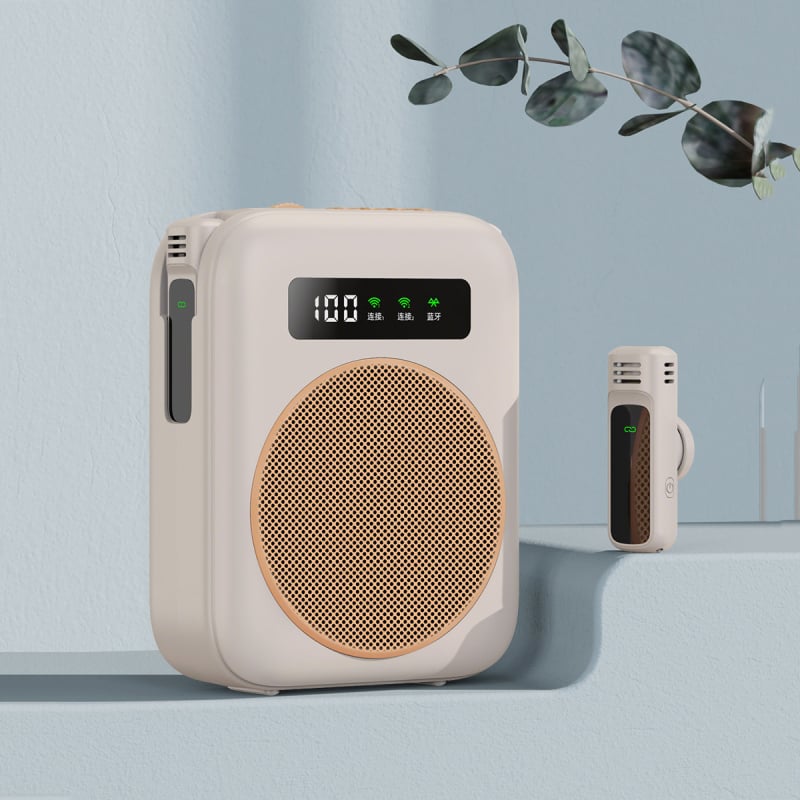 Ασύρματο σύστημα PA για δασκάλους με Bluetooth μικρόφωνο, φορητό ηχείο για ξεναγήσεις