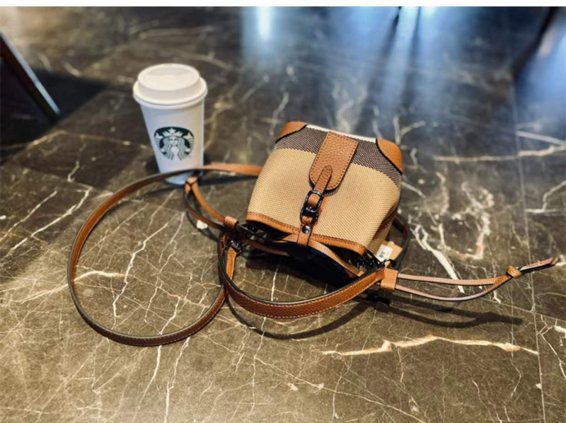 Ženska platnena torba tip bucket od platna, proljetno 2025 izdanje, srednja veličina, dvostruki remeni, nošenje na rame ili crossbody, elegantan izgled