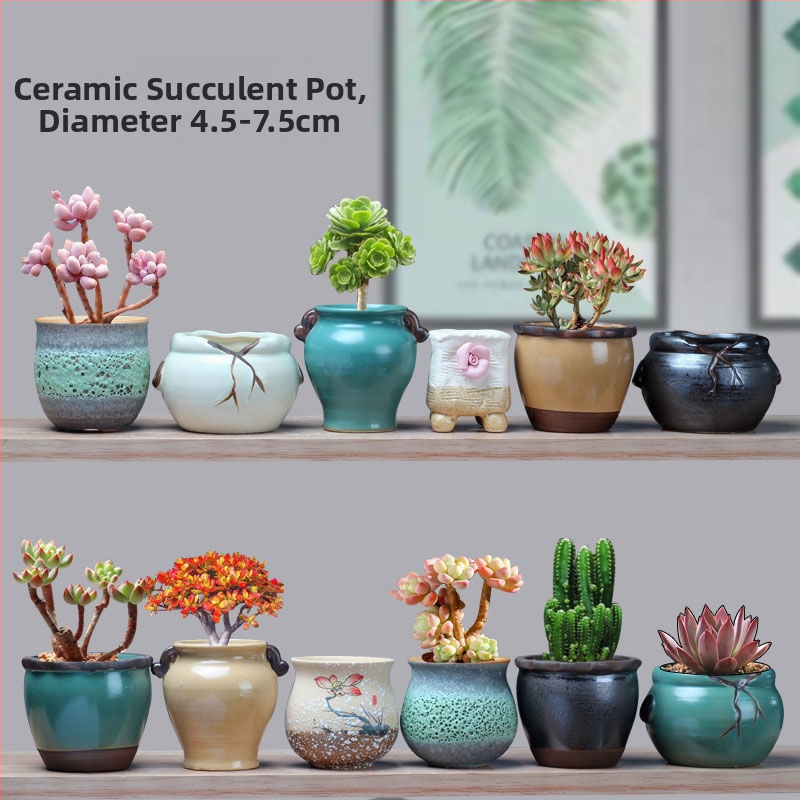 Ghiveci ceramic pentru suculente, retro, creativ și unic — suport de birou