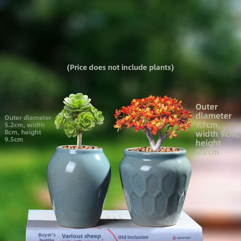 Ghiveci ceramic pentru suculente, retro, creativ și unic — suport de birou