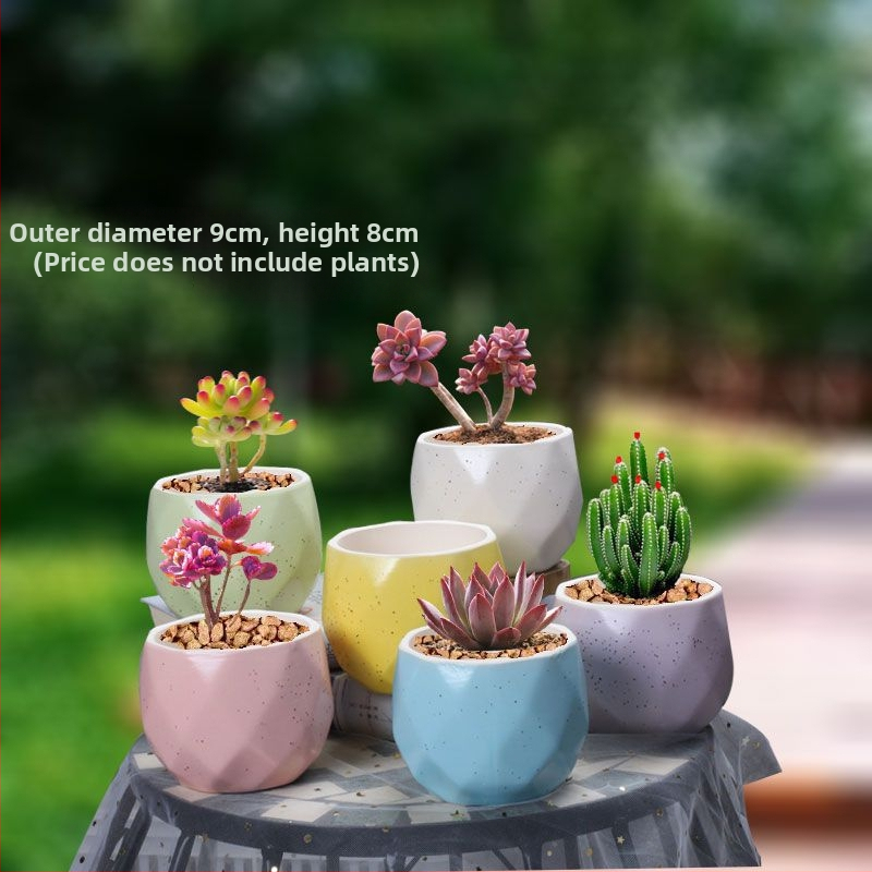 Ghiveci ceramic pentru suculente, retro, creativ și unic — suport de birou