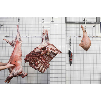 Cârlige pentru grătar din oțel inoxidabil 304 pentru carne și costițe, unelte de bucătărie