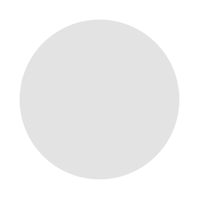 Hârtie de copt rotundă cu acoperire din silicon, pentru grătar și cuptor – antiaderent, pentru pizza și prăjituri