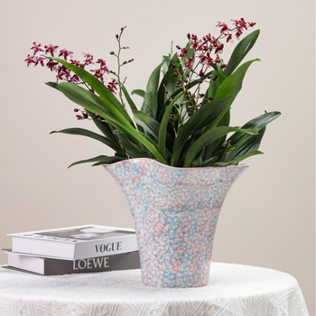 Ghiveci ceramic glazurat pentru orhidee Phalaenopsis — decor de living elegant, de înaltă clasă