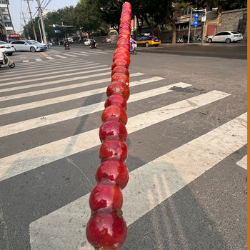 Jednokratni bambus štapići za roštilj, šašliki od janjeta i štapići za pikantan vrući lonac; proizvodi od bambusa, alati i potrepštine, u velikom paketu, prijenosno