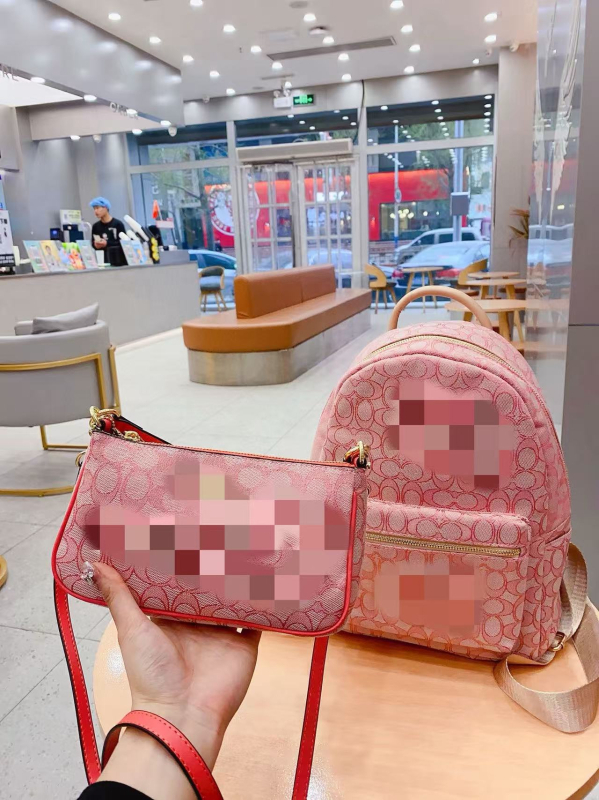 C Family klasični ruksak, unisex, velika kapaciteta, minimalistički dizajn, casual putni ruksak
