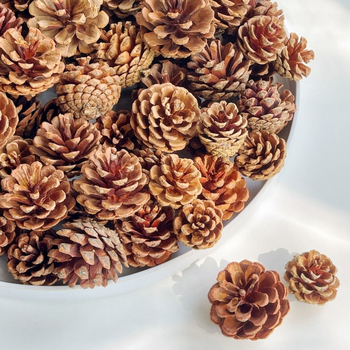Conuri de pin naturale și aranjament cu flori uscate — accesorii foto lucrate manual pentru decor DIY de Crăciun, centru de living