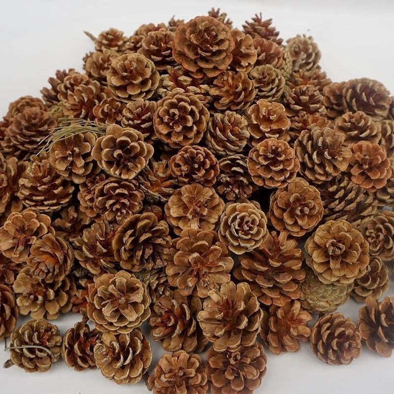 Conuri de pin naturale și aranjament cu flori uscate — accesorii foto lucrate manual pentru decor DIY de Crăciun, centru de living
