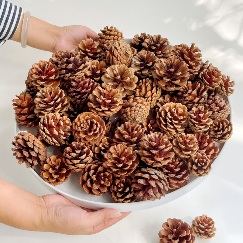 Conuri de pin naturale și aranjament cu flori uscate — accesorii foto lucrate manual pentru decor DIY de Crăciun, centru de living