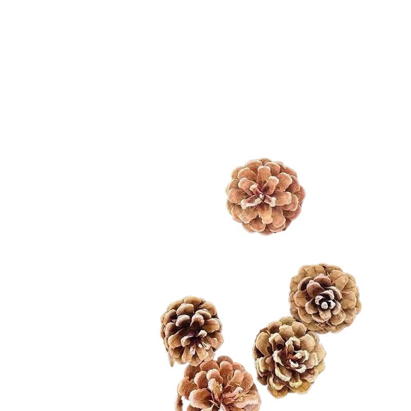 Conuri de pin naturale și aranjament cu flori uscate — accesorii foto lucrate manual pentru decor DIY de Crăciun, centru de living