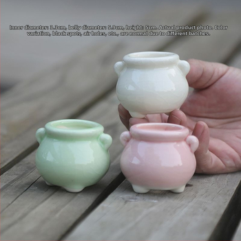 Vas mini pentru plante, ceramică brută lucrată manual, potrivit pentru butași de frunze, aranjament simplu de plante verzi, amenajare acvariu și cultivare de plante acvatice, poate fi scufundat în apă