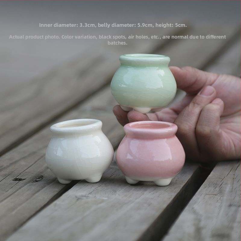 Vas mini pentru plante, ceramică brută lucrată manual, potrivit pentru butași de frunze, aranjament simplu de plante verzi, amenajare acvariu și cultivare de plante acvatice, poate fi scufundat în apă