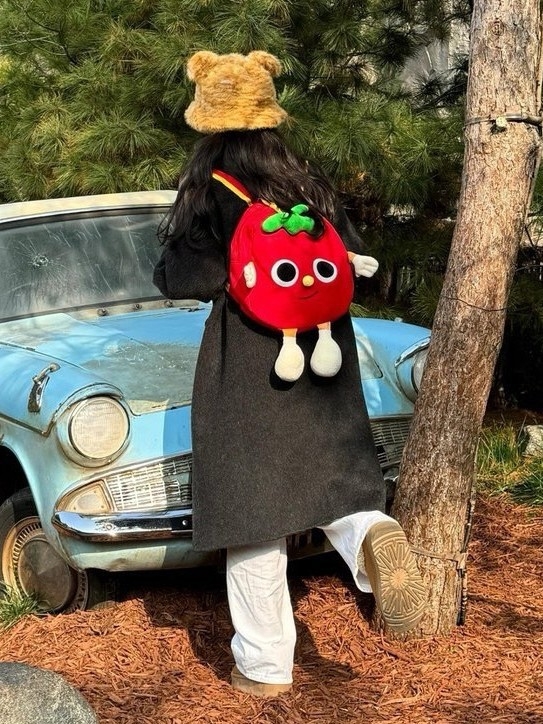 Platneni ranac Cartoon Tomato – sladak dizajn, velik kapacitet, kampus stil