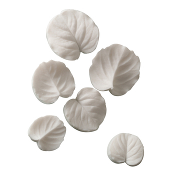 Formă din silicon pentru fondant, pentru tort, cu două fețe, relief cu frunze de eucalipt și plantă Money Plant