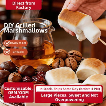 DIY súprava na marshmallow na uhlí s samoohrejúcim varičom pre jarné výlety a vonkajšie grilovanie