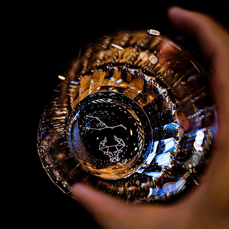 Pahar de whisky K9 din cristal cu plumb, stil european, cu zodie, pahar creativ pentru băuturi