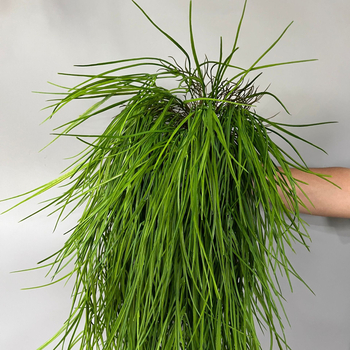 Plantă verde artificială agățată, cu viță de rattan, decor pentru pereții casei
