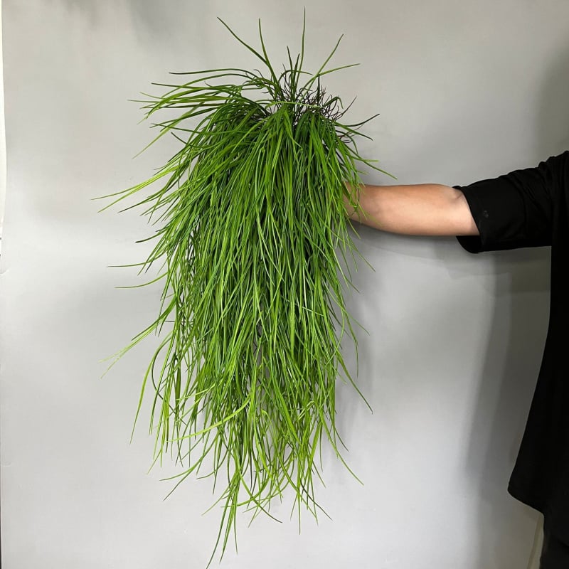 Plantă verde artificială agățată, cu viță de rattan, decor pentru pereții casei