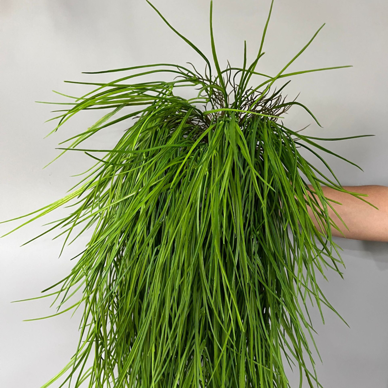 Plantă verde artificială agățată, cu viță de rattan, decor pentru pereții casei