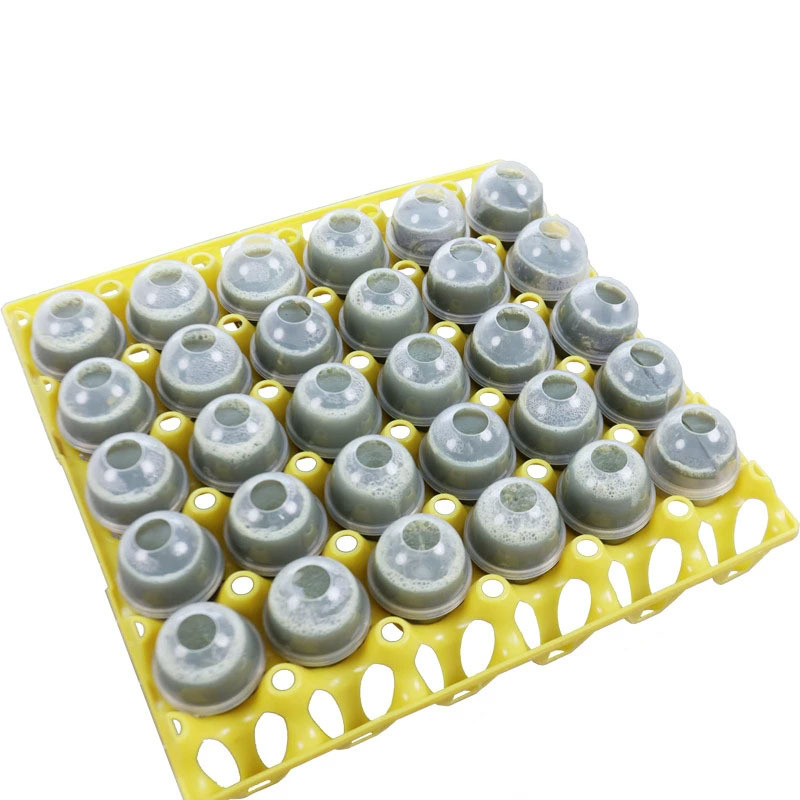 Formă din plastic pentru ouă la abur, etanșă, antiaderentă, rezistentă la temperaturi înalte, de calitate alimentară