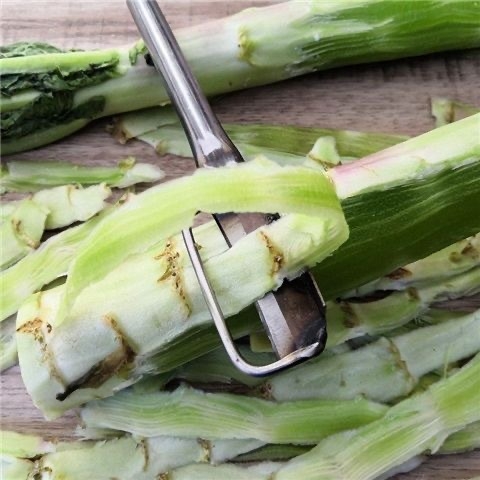Cuțit multifuncțional din oțel inoxidabil cu lamă pentru curățare și tăierea tulpinilor de salată, trestiei de zahăr și castanelor de apă