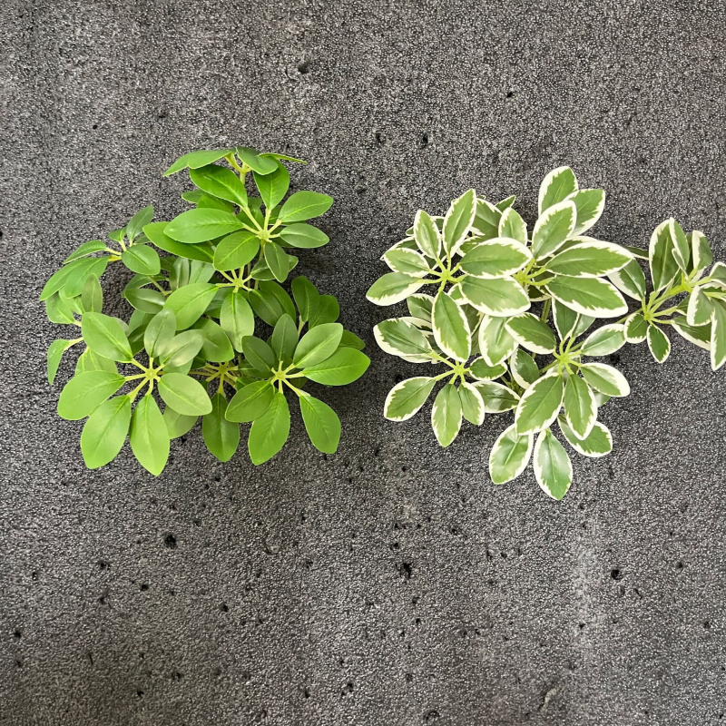 Plantă artificială cu frunze în formă de stele, 12 tulpini de frunze norocoase și decor de perete cu flori de satin
