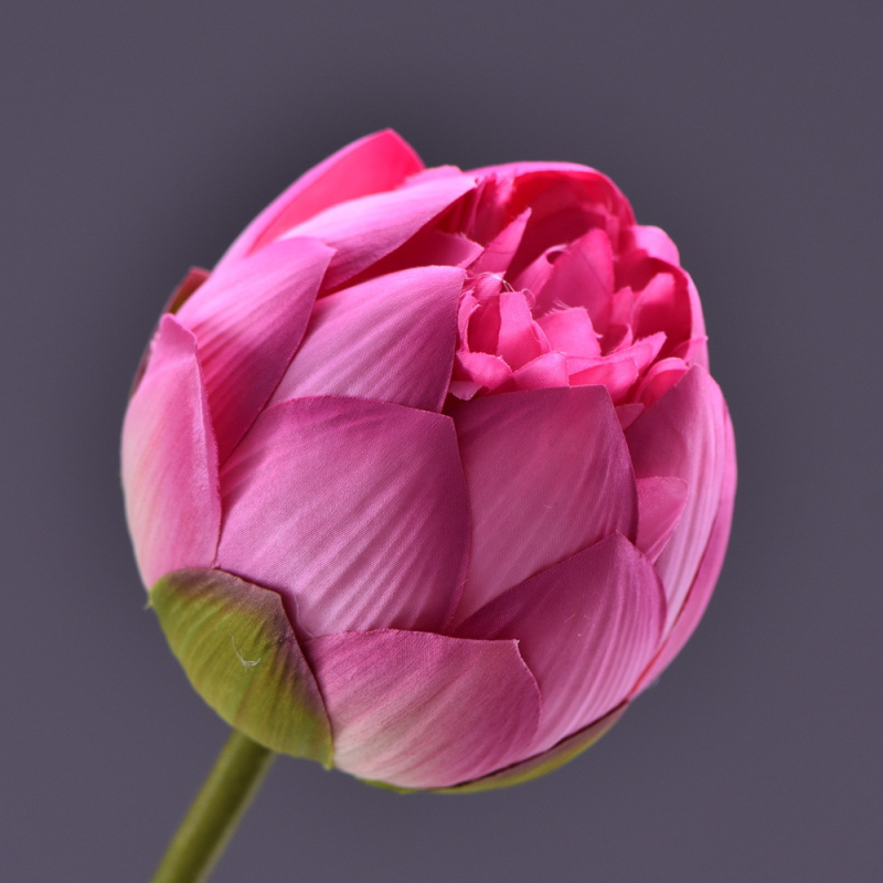 Lan Jin floare de lotus artificială din mătase – 72 cm, decor de interior de înaltă calitate pentru living, stil Zen