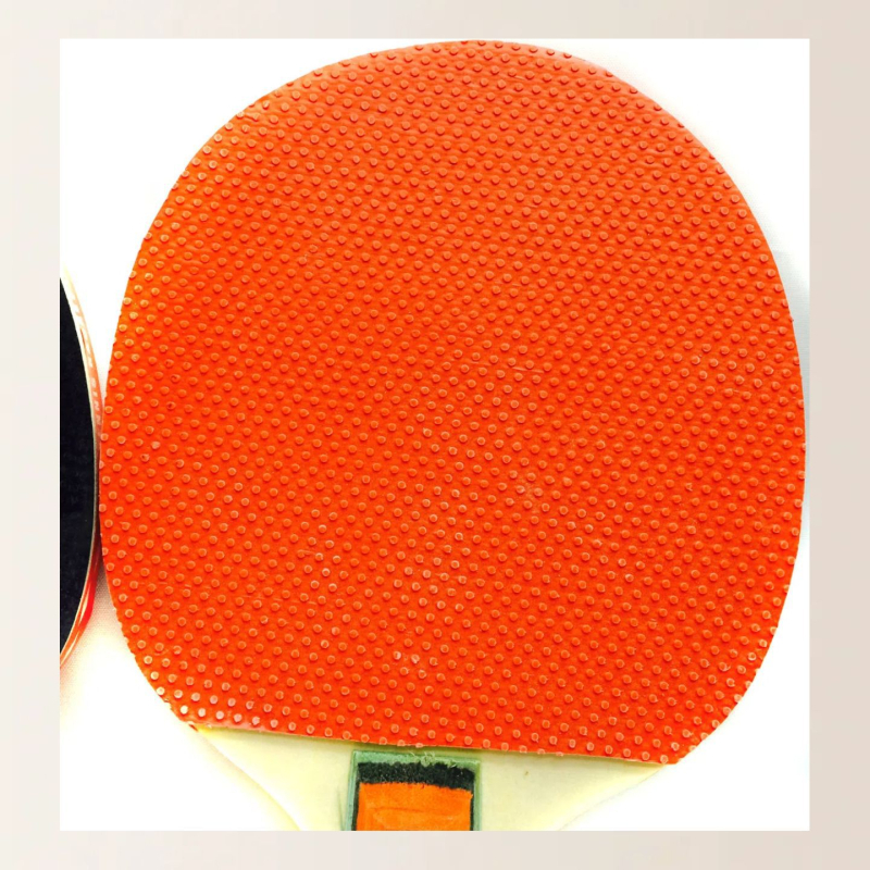 Zhibo rekete za stolni tenis s dvostrukom gumom, set od 2 reketa i 3 lopte