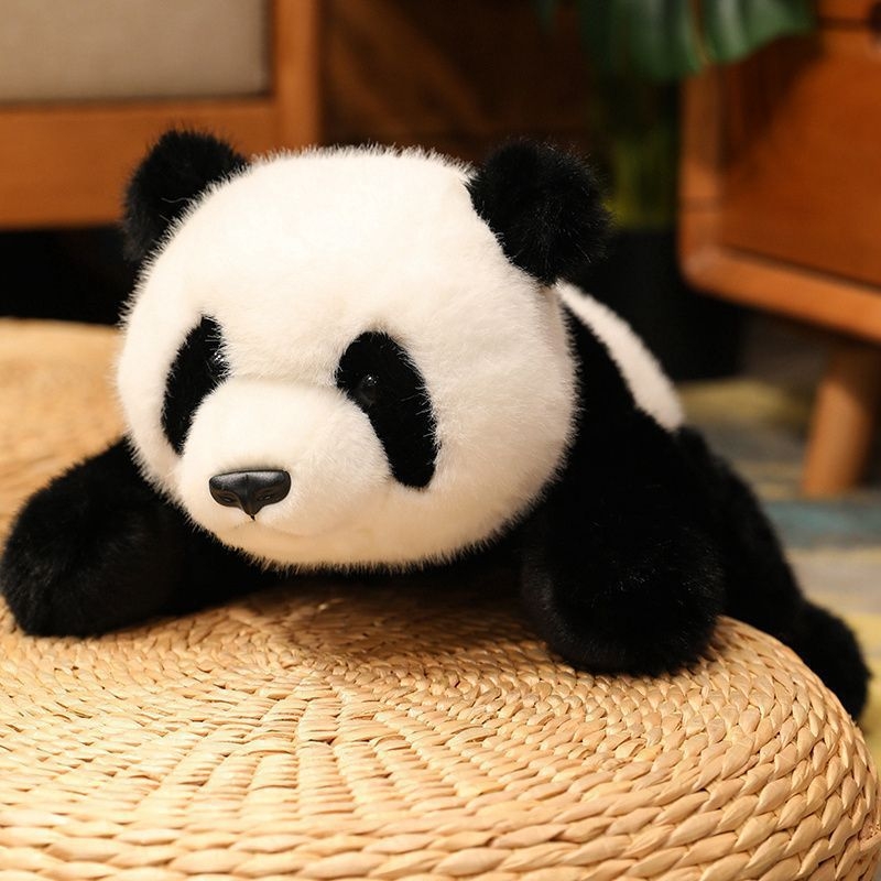 Panda pliš jastuk, sladak i udoban za djevojke, veliki jastuk za uzglavlje kreveta