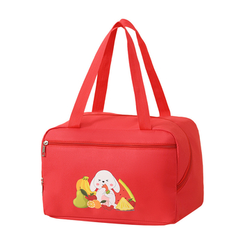 Geantă izolantă pentru prânz cu design de iepuraș drăguț, husă pentru monede, gentuță pentru machiaj și igienă, cutie de picnic, pachet de răcire, potrivită pentru activități în aer liber