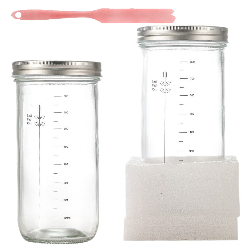 Borcan din sticlă pentru fermentarea aluatului de pâine, 24 oz, cu capac și termometru