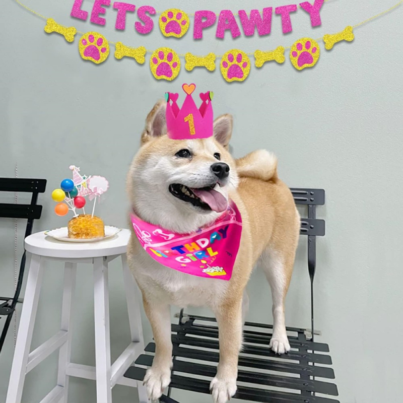 Let's Pawty Banner cu litere pentru câine – decor pentru pet-themed birthday party