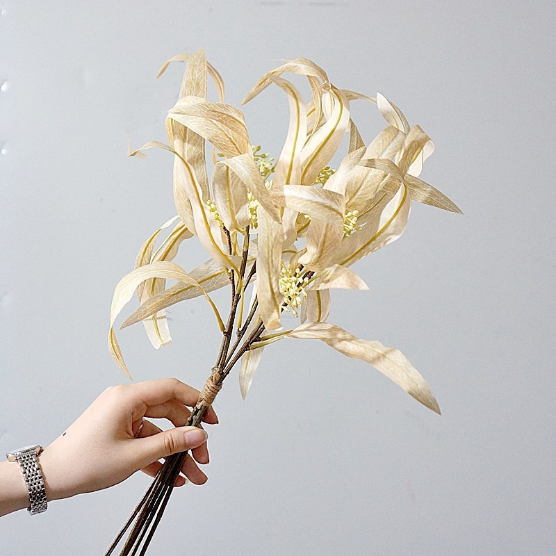 Buchet Nordic minimalist cu frunze curbe de eucalipt și frunze de bani pentru decor acasă