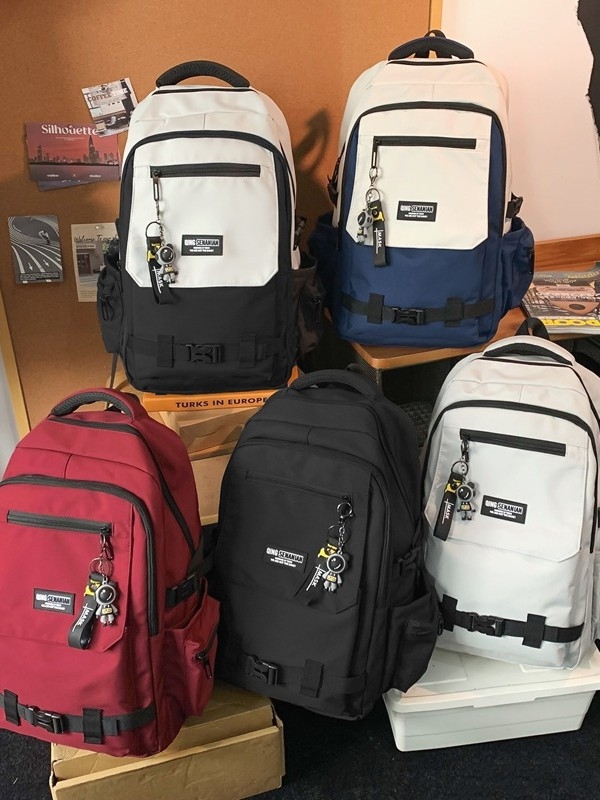 Unisex nylon ruksak za školu, velika kapaciteta do 20 L, dizajn color-block, pretin za prijenosno računalo, za studente