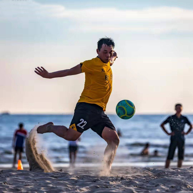 REGAIL Prijenosni okvir mreže za plažni odbojkaški teren – za odbojku na plaži, badminton i nogomet (600×50 cm)