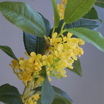 Τεχνητά άνθη Osmanthus για διακόσμηση κήπων και φωτογραφικά αξεσουάρ, κλωνάρια και φύλλα Osmanthus