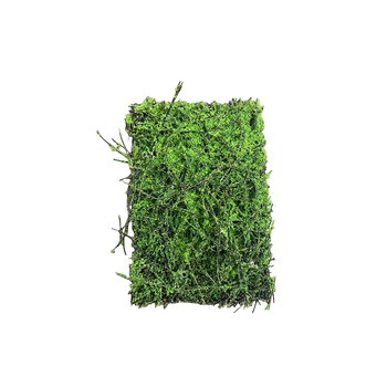 Gazon artificial pentru reptile și animale de companie exotice, plante artificiale cu acțiune antibacteriană, decor pentru terariu și cutie de creștere