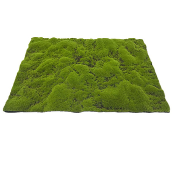 Mușchi artificial și gazon decorativ pentru amenajări, bonsai și micro-peisaje, vitrină