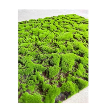 Mușchi artificial și gazon decorativ pentru amenajări, bonsai și micro-peisaje, vitrină