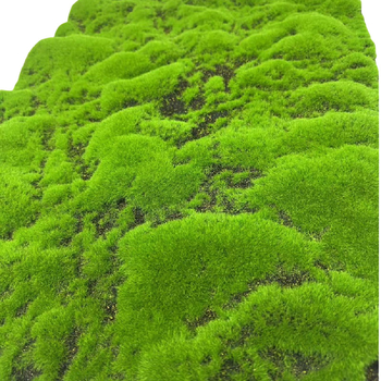 Mușchi artificial și gazon decorativ pentru amenajări, bonsai și micro-peisaje, vitrină