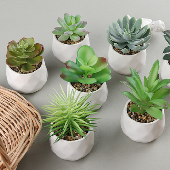 Mini ghiveci ceramic pentru suculente, cu textură velur și motiv lotus-diamant, decor de birou